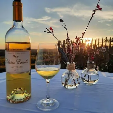 Le Castel De Lamothe Feriehus Sauternes