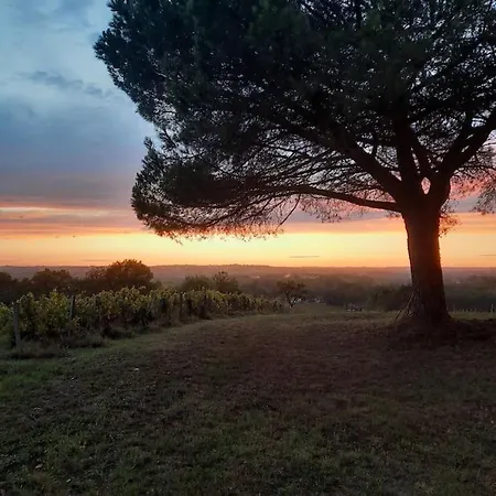 Le Castel De Lamothe Feriehus Sauternes