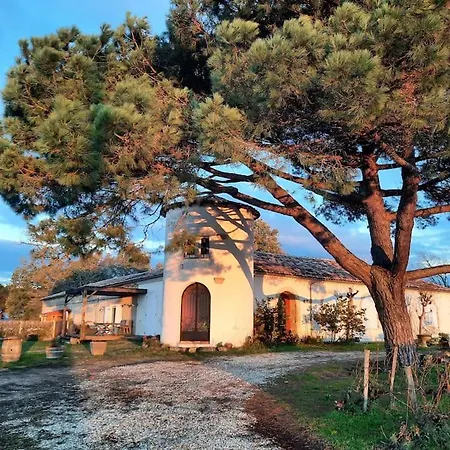 Le Castel De Lamothe Holiday home